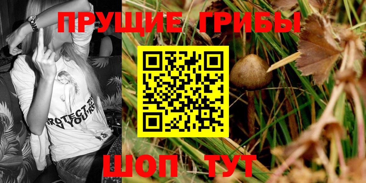 Псилоцибиновые грибы Magic Shrooms Нижнекамск